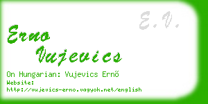 erno vujevics business card